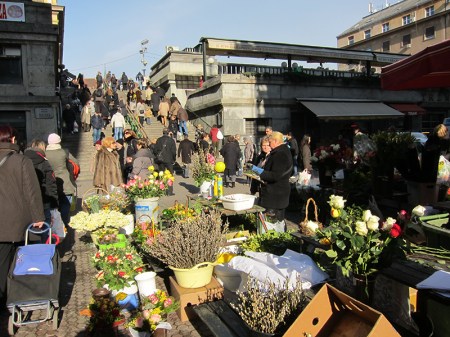 I brought with me the sympathy and the scent of this beautiful country and the certainty that Croatia dental medicine is going on in a very positive way.