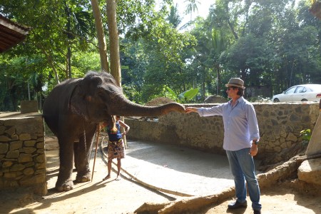 Elephant orphanage in Pinnawala.