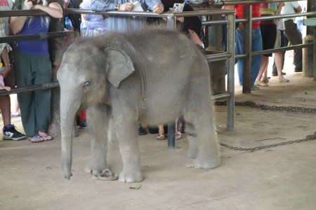 20130630-oms-sri-lanka-114